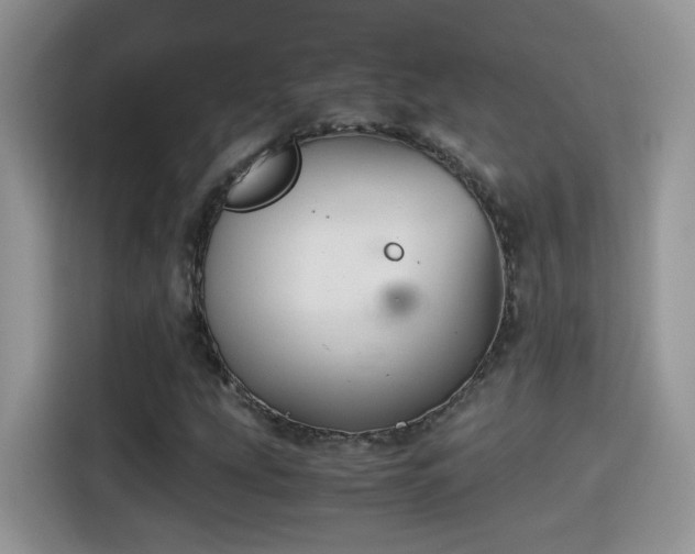 X0000115441207200911121116
