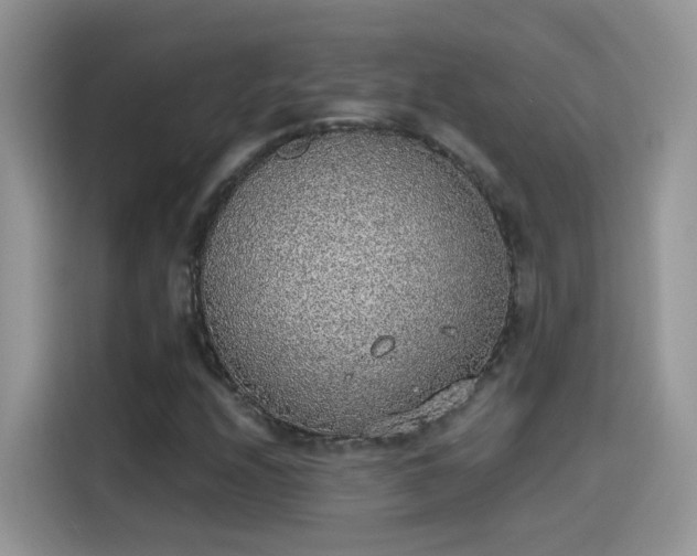 X0000115441208200911121116