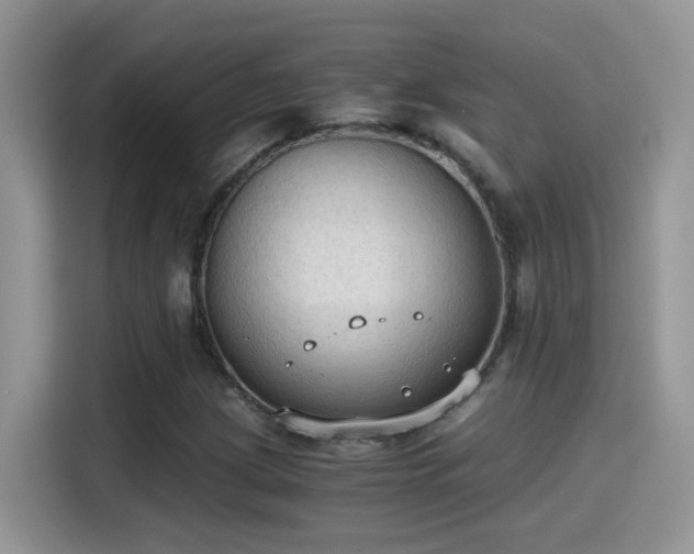 X0000115441209200911121116