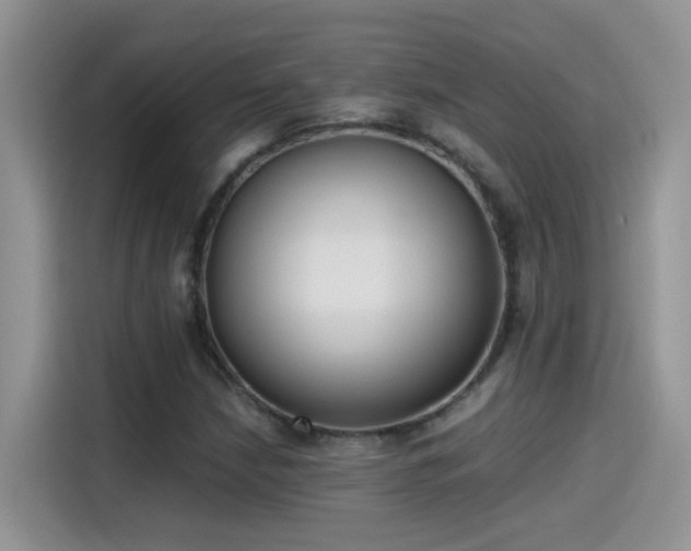 X0000115441210200911121116