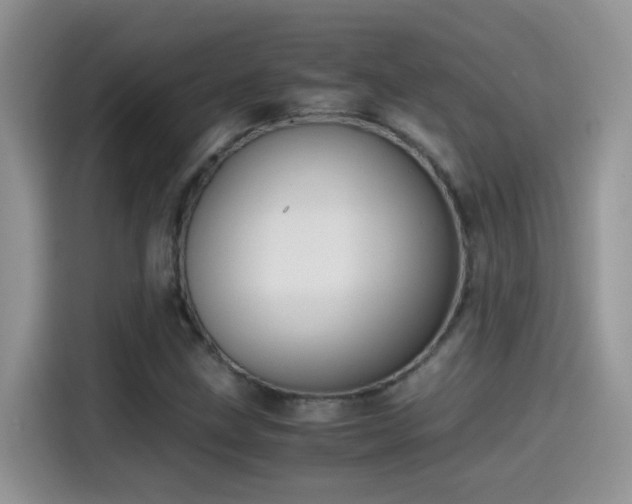 X0000115441211200911121116