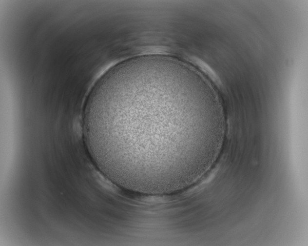 X0000115441212200911121116
