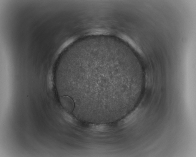 X0000115441213200911121116