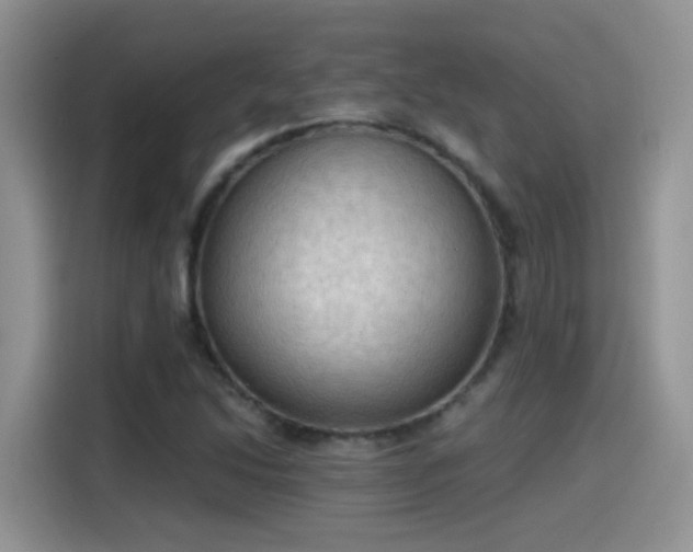 X0000115441214200911121116