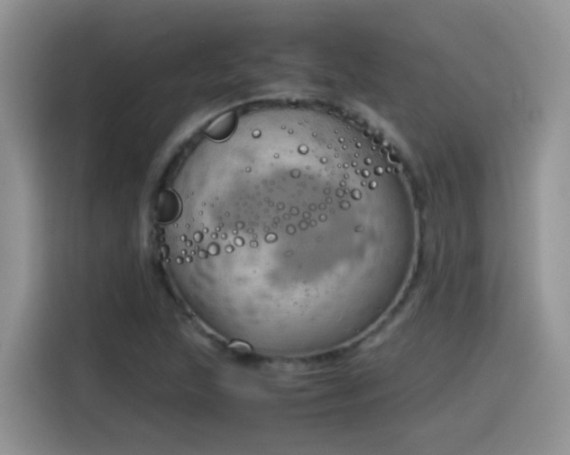 X0000115441215200911121116