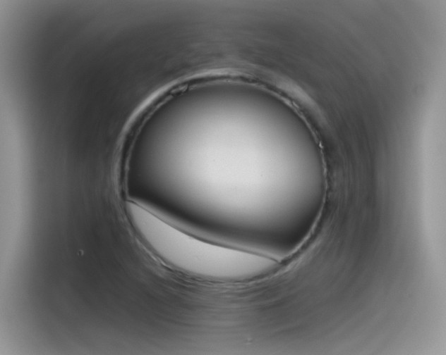 X0000115441216200911121116