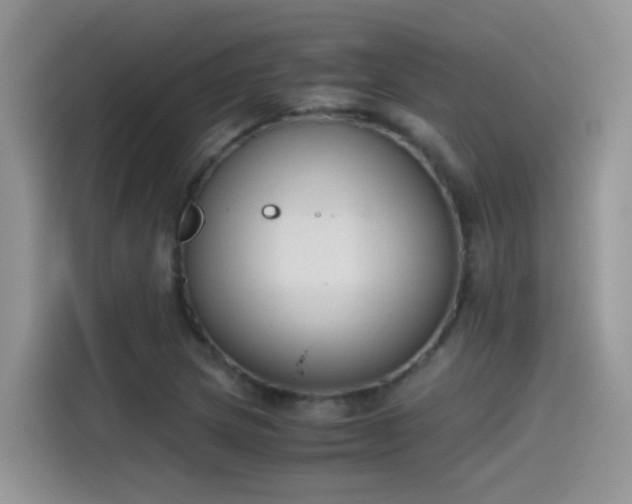 X0000115441217200911121116