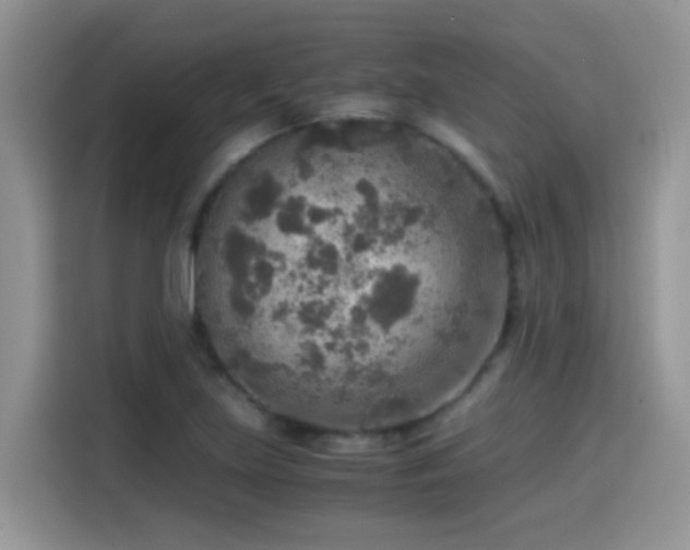 X0000115441219200911121116