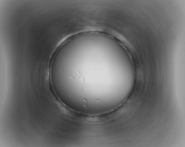 X0000115441220200911121116