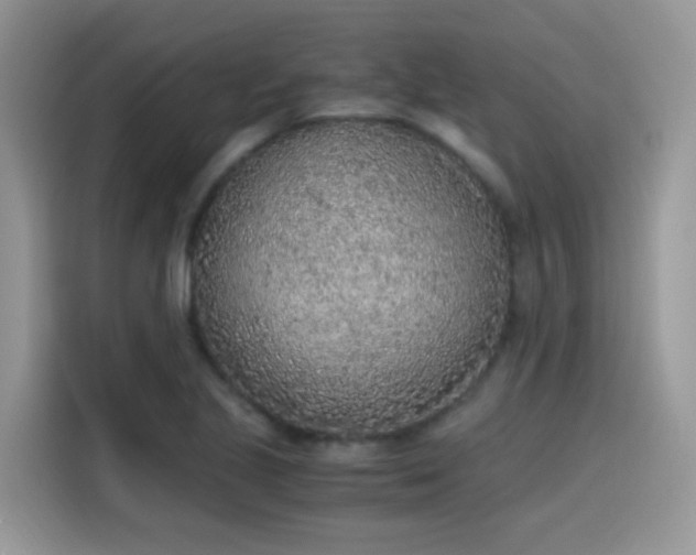 X0000115441221200911121116