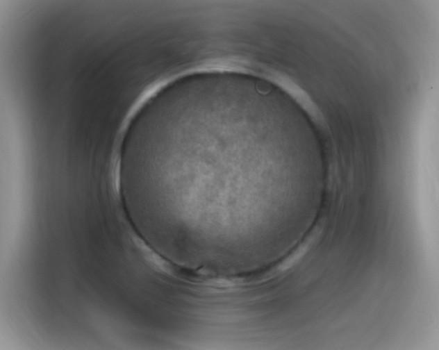 X0000115441224200911121116
