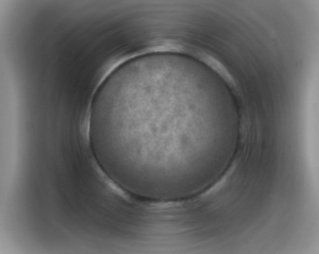 X0000115441228200911121117