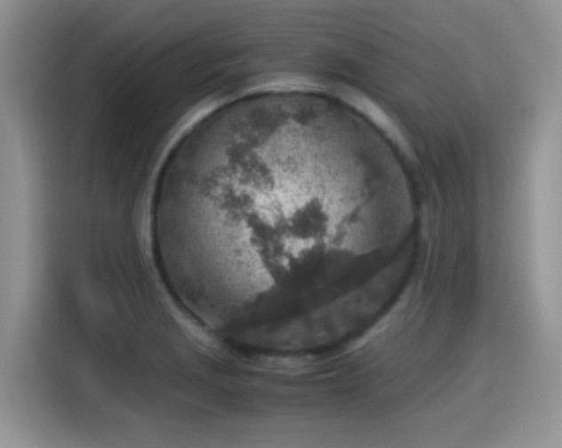 X0000115441229200911121117