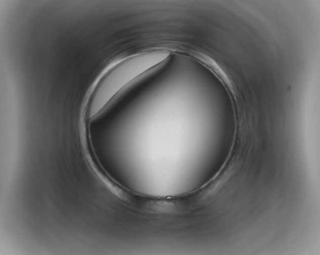 X0000115441235200911121117