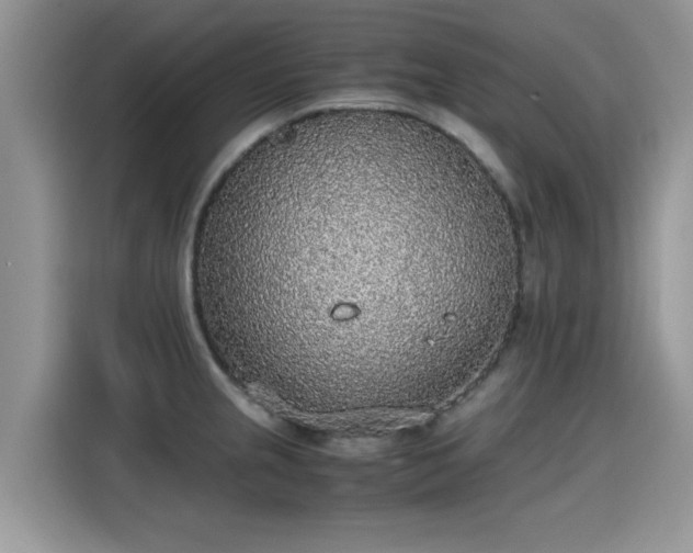 X0000115441237200911121117