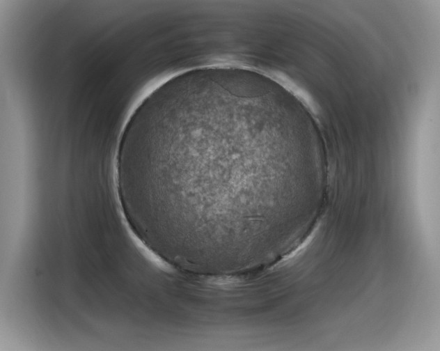 X0000115441239200911121117