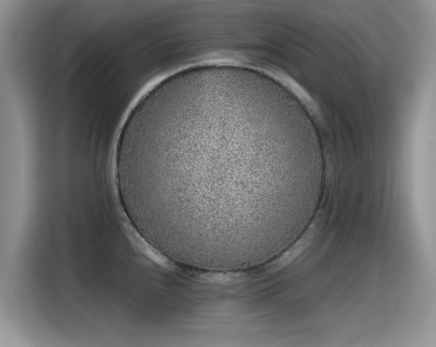 X0000115441240200911121117