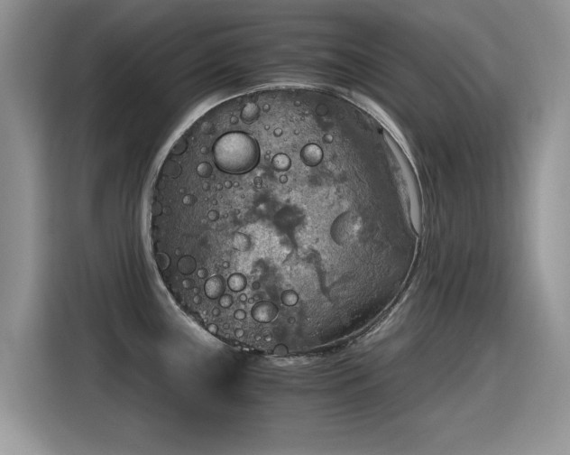 X0000115441243200911121117