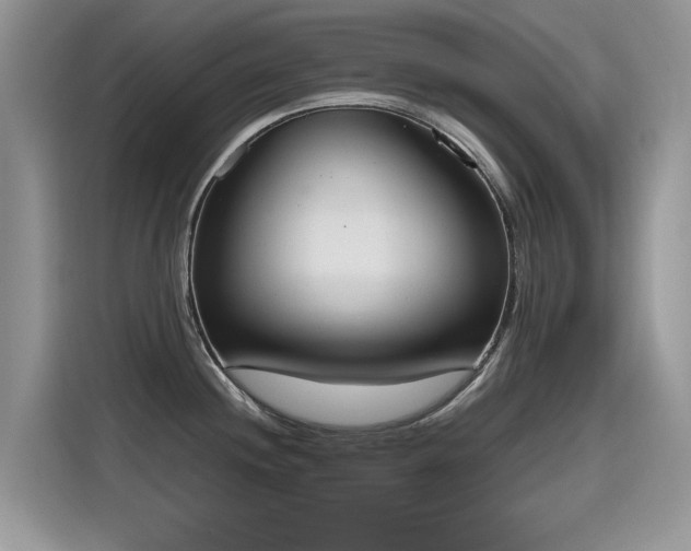 X0000115441244200911121117