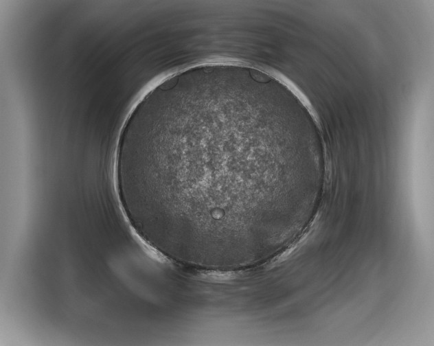 X0000115441245200911121117