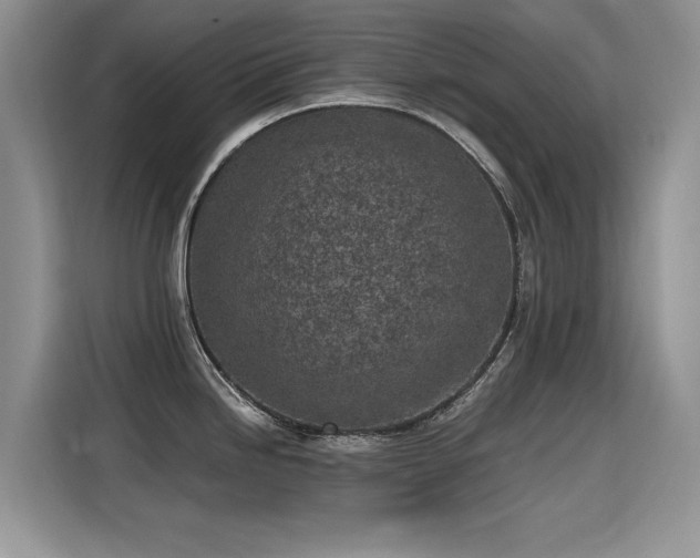 X0000115441246200911121117