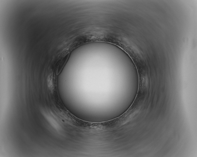 X0000115441250200911121116