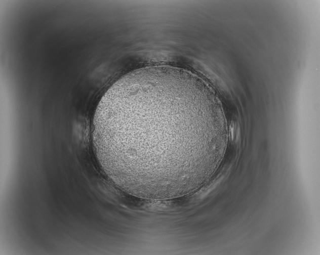 X0000115441251200911121116
