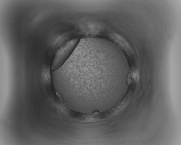 X0000115441252200911121116
