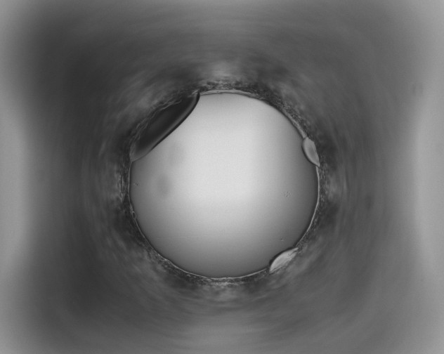 X0000115441253200911121116