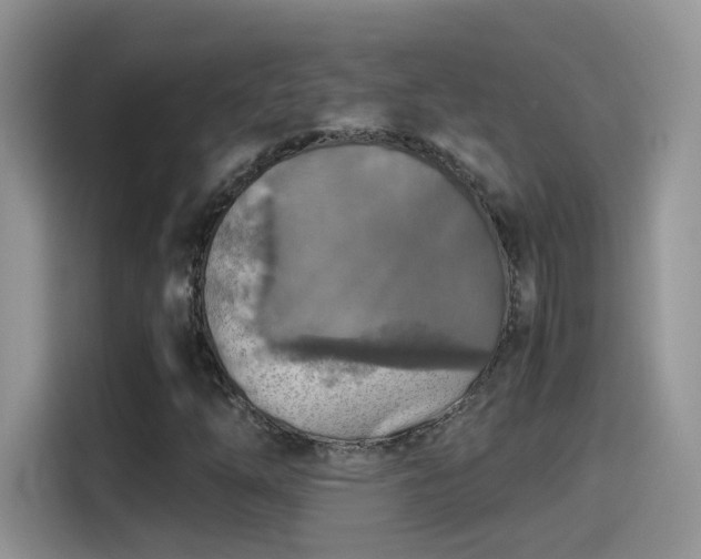 X0000115441254200911121116