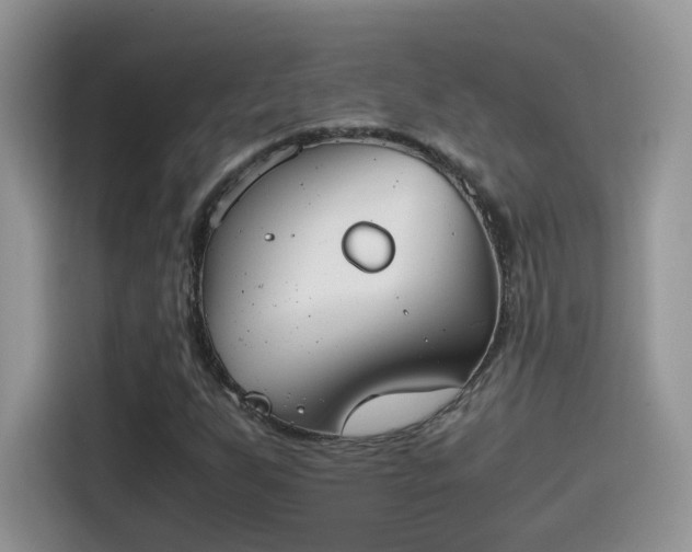 X0000115441255200911121116