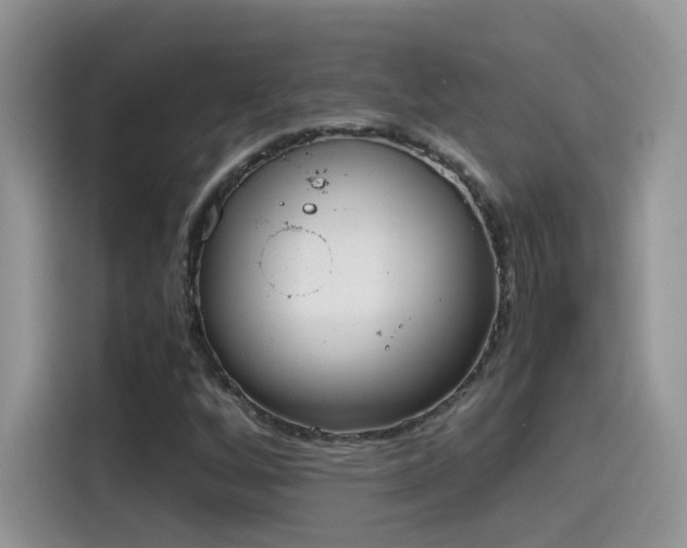 X0000115441256200911121116
