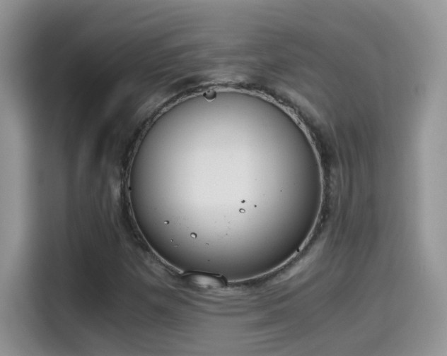 X0000115441257200911121116