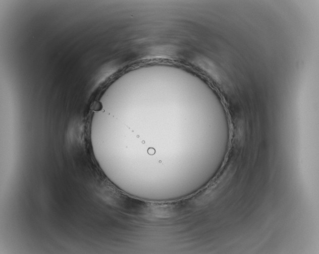 X0000115441258200911121116