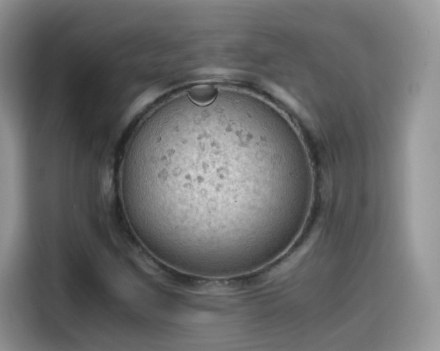 X0000115441259200911121116
