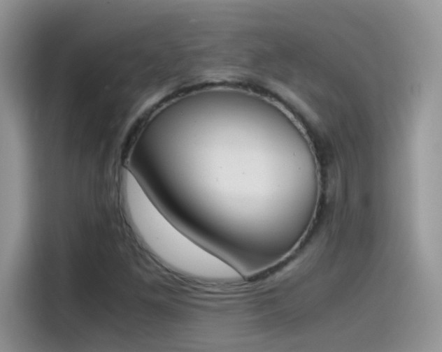 X0000115441261200911121116