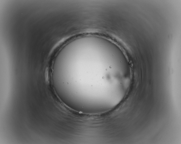 X0000115441262200911121116