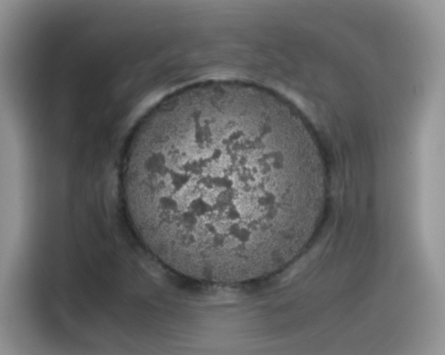 X0000115441263200911121116