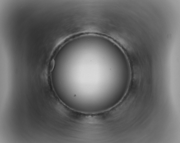 X0000115441264200911121116
