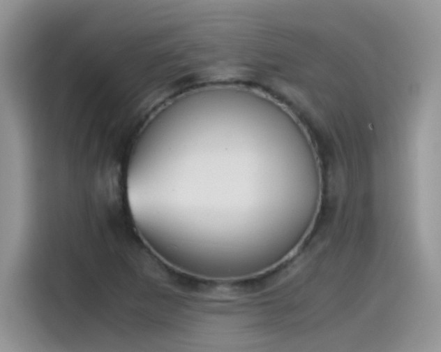X0000115441265200911121116