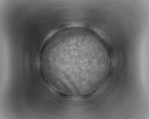 X0000115441266200911121116