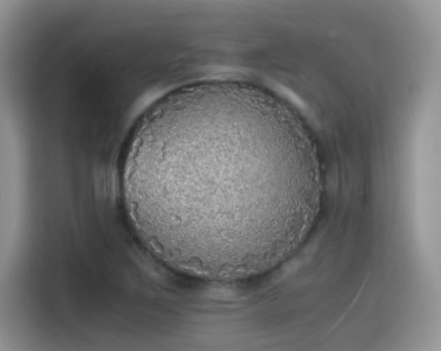 X0000115441267200911121116