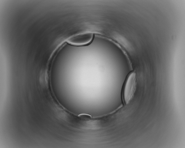 X0000115441268200911121116