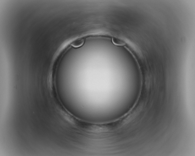 X0000115441270200911121116