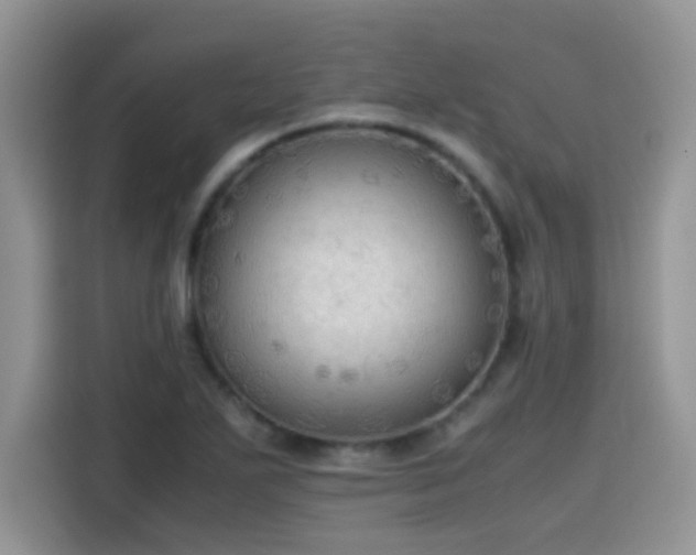 X0000115441271200911121116