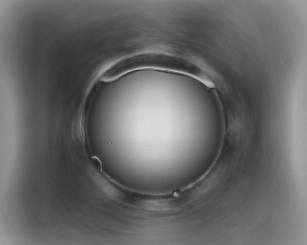 X0000115441272200911121116