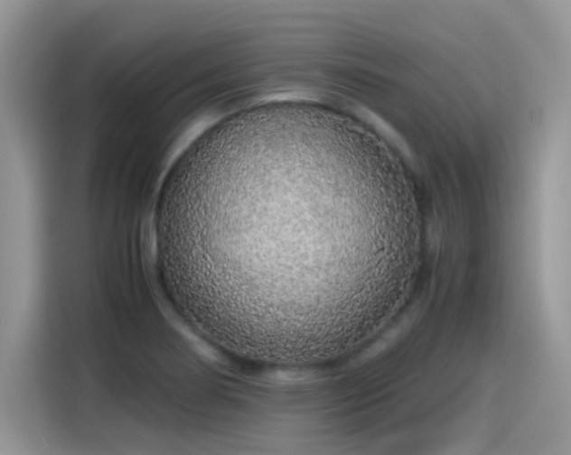 X0000115441274200911121116