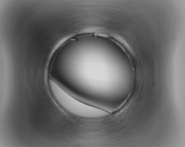 X0000115441277200911121116