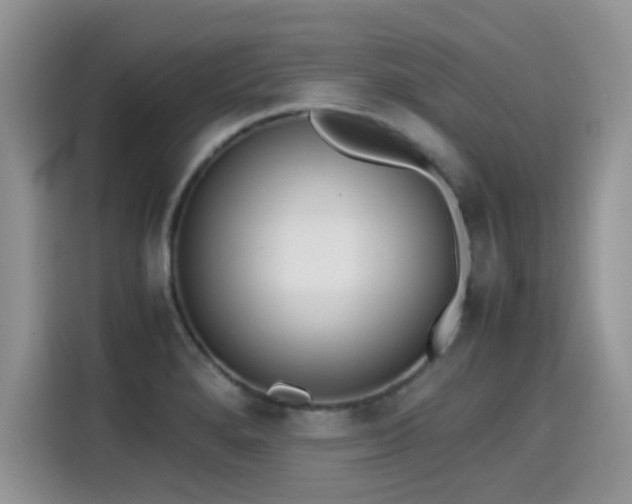X0000115441280200911121116