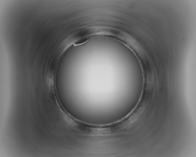 X0000115441281200911121116